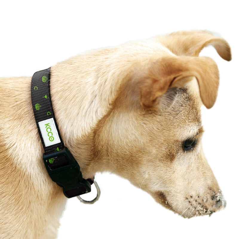 Ostrich Crown Chive C Dog Collar The Chivery