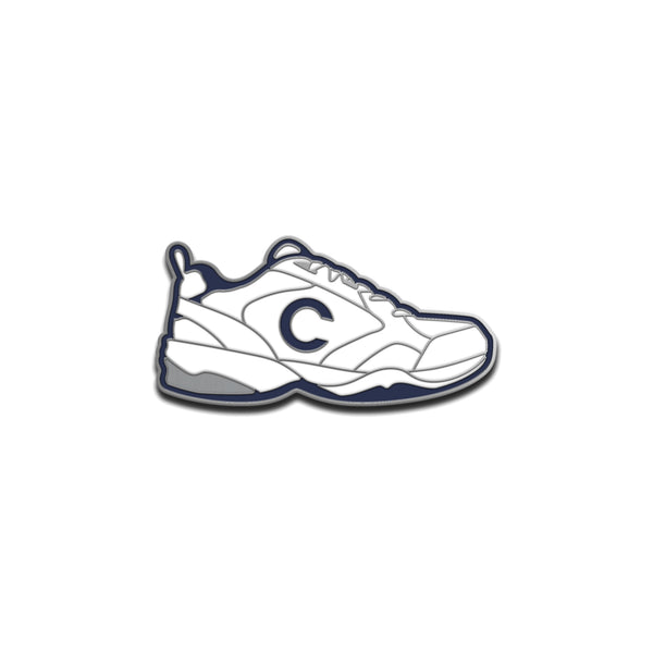 Champion hot sale dad shoes