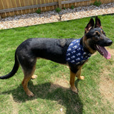 Lovely Murray Pet Bandana